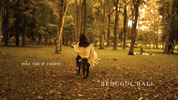 Bedugul - Bike, Ride & Explore