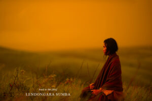 Sumba - Back To The [Dot]