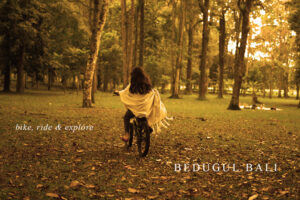 Bedugul - Bike, Ride & Explore