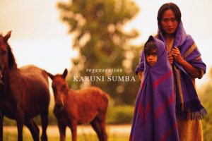 Sumba - Regeneration