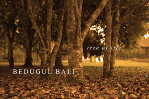 Bedugul - Tree of Life